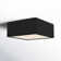 Leni LED Flush Mount