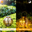 Daliya 28cm Solar Powered Integrated LED