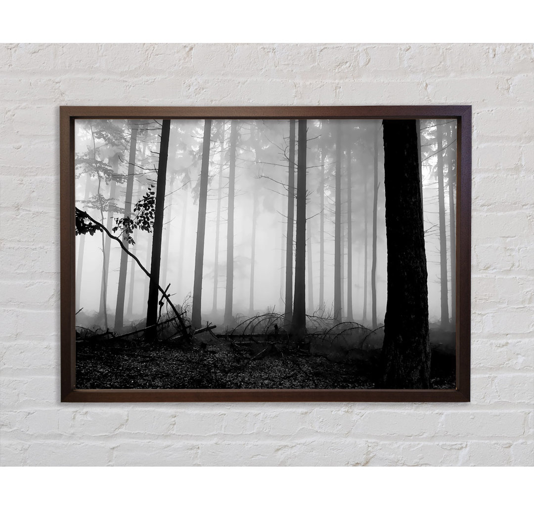 Black N White Woodland Mist - Einzelner Bilderrahmen Kunstdrucke auf Leinwand