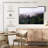 Misty Pine Forest-107510073