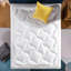 Matelas en mousse viscoélastique pelucheux 10 po zinus-50350185
