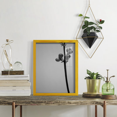 Liriope III " Liriope III "