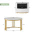 Aloisius Frame Coffee Table with Storage-727496699