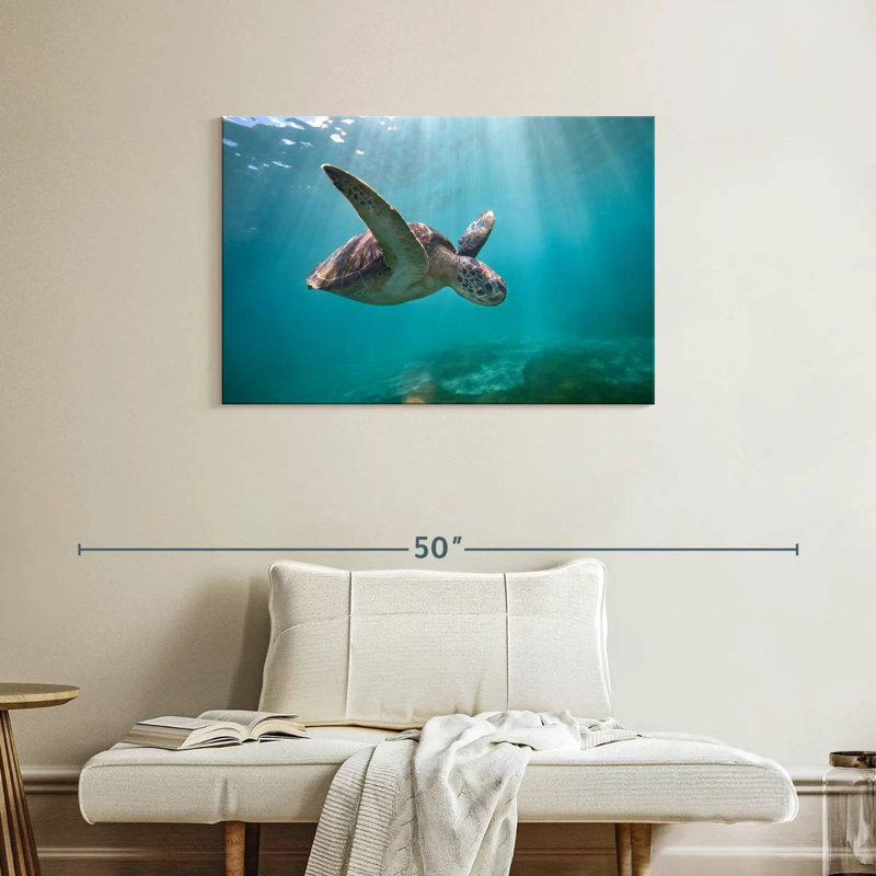 Tortue de mer Brampt Martinique, H 24 po x l 36 po