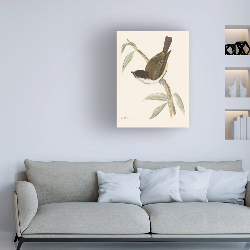 Engraved Birds II Horizontal Canvas Print with Wood Frame