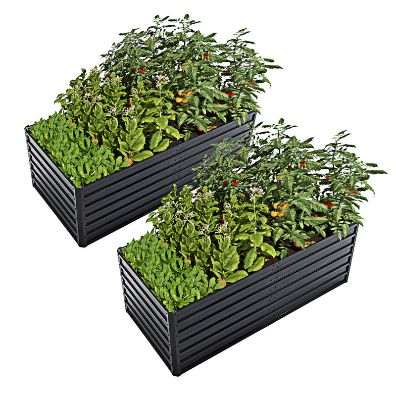 Ensemble de 2 boîtes à fleurs surélevées en métal pour jardin
