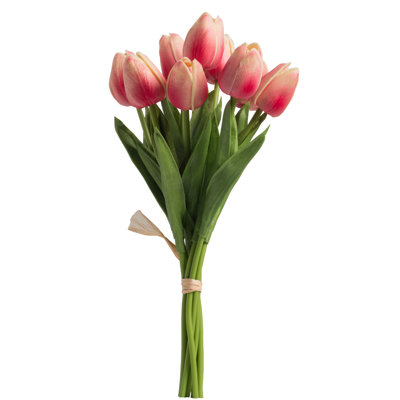 Tucson Tulip Stems