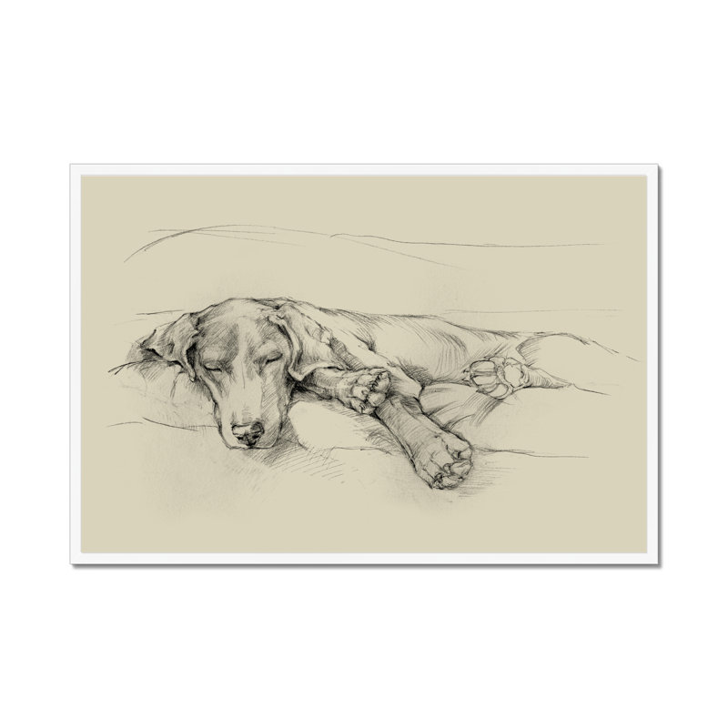 Dog Days II by Ethan Harper - Print, White Framed Paper Print, 65cm H x 95cm W
