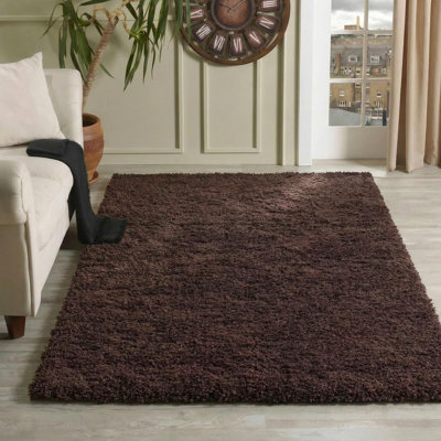 Esterly Brown Shaggy Area Rug