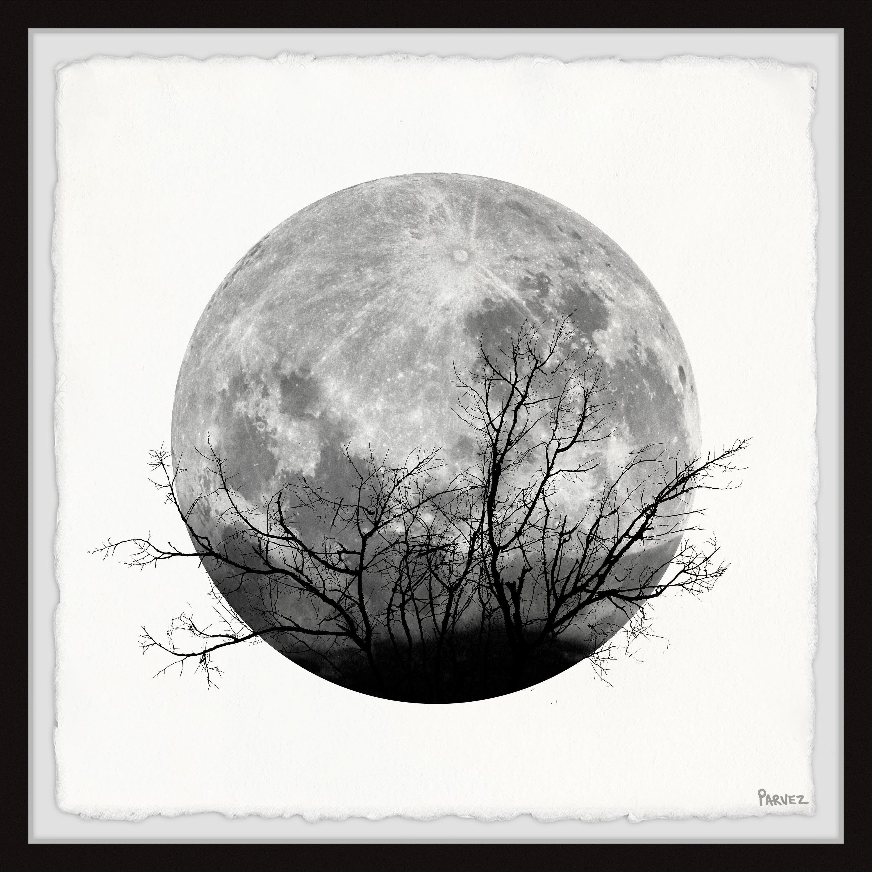 Rustic Moon Union Rustic Forest Moon by Parvez Taj - Picture Frame Photograph Print ...