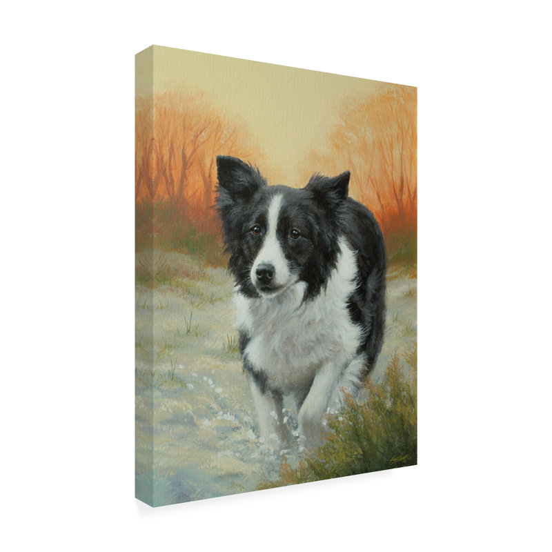 «Animaux Border Collie In Winter Landscape», reproduction sur toile, H 19 po x l 14 po x P 2 po