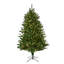 7.5' Dual LED  Royal Fir Tree