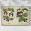 Kitchen Kitchen III, toile tendue Kitchen-1670894787