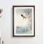 Hunting Kingfisher by Ohara Koson - Picture Frame Painting Print on MDF-55769119-55769120