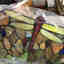 Photos des clients 3 de 3