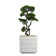 Aislin 37" Artificial Bonsai Tree in Planter