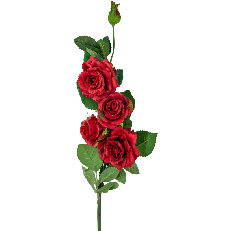 Roses et tiges
