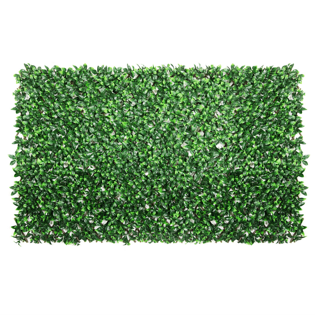 Single Side Expandable Faux Hedge Artificial Gardenia Privacy Fence Panel, Vinyl Decorative Trellis (Set of 2) ColourTree