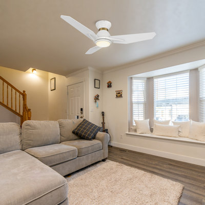 Behrend 44'' Ceiling Fan with LED Lights