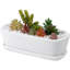 Indoor White Ceramic Succulent Pot Planter