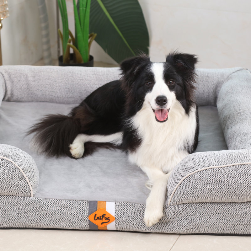 Canapé pour chien en mousse à mémoire de forme Laifug, lit moyen, avec doublure imperméable et housse amovible lavable