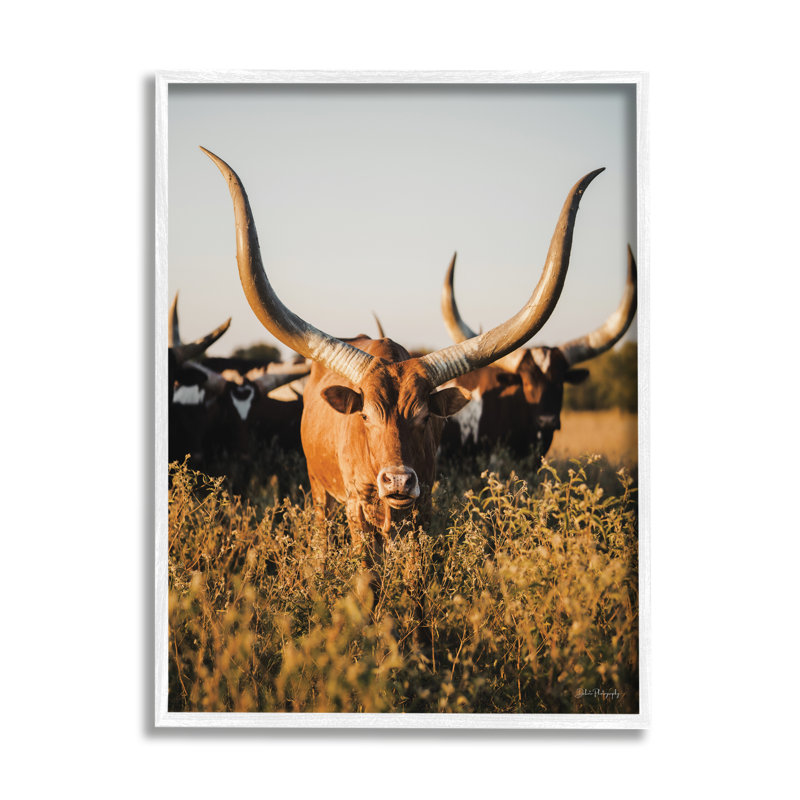 ba-417, reproduction encadrée d'un longhorn par Dakota Diener, Giclée encadrée blanc bord de mer