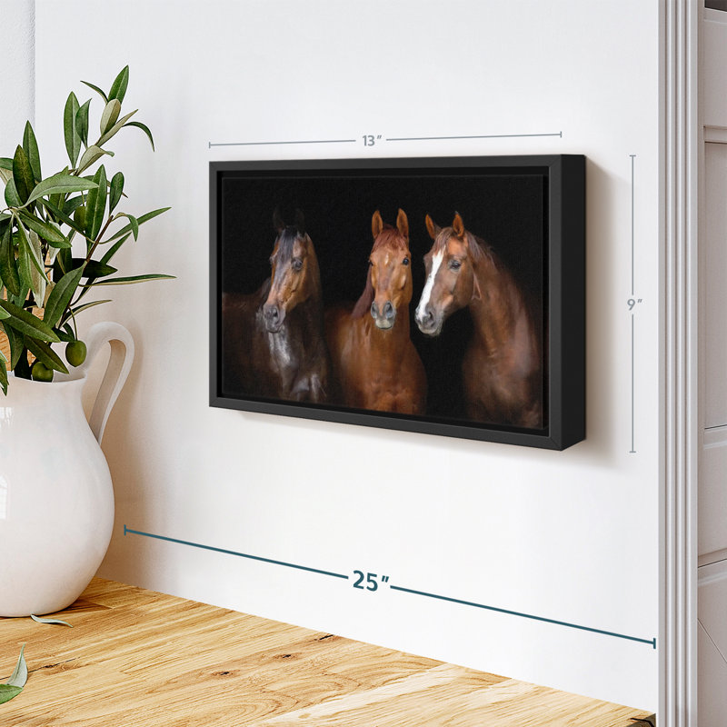Animal «Brown Stallion Horses, reproduction sur toile», H 9 po x l 13 po