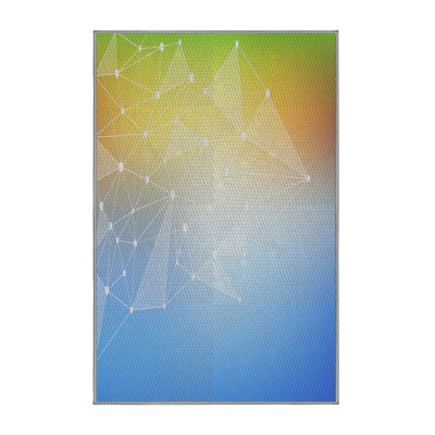 Indoor Rug