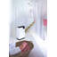 Albert Dehumidifier
