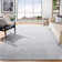 Tapis gris / ivoire Cobos Southwestern