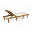 Chaise longue d'extérieur en bois avec coussin
