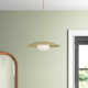 Del Single Light Metal Dimmable Pendant