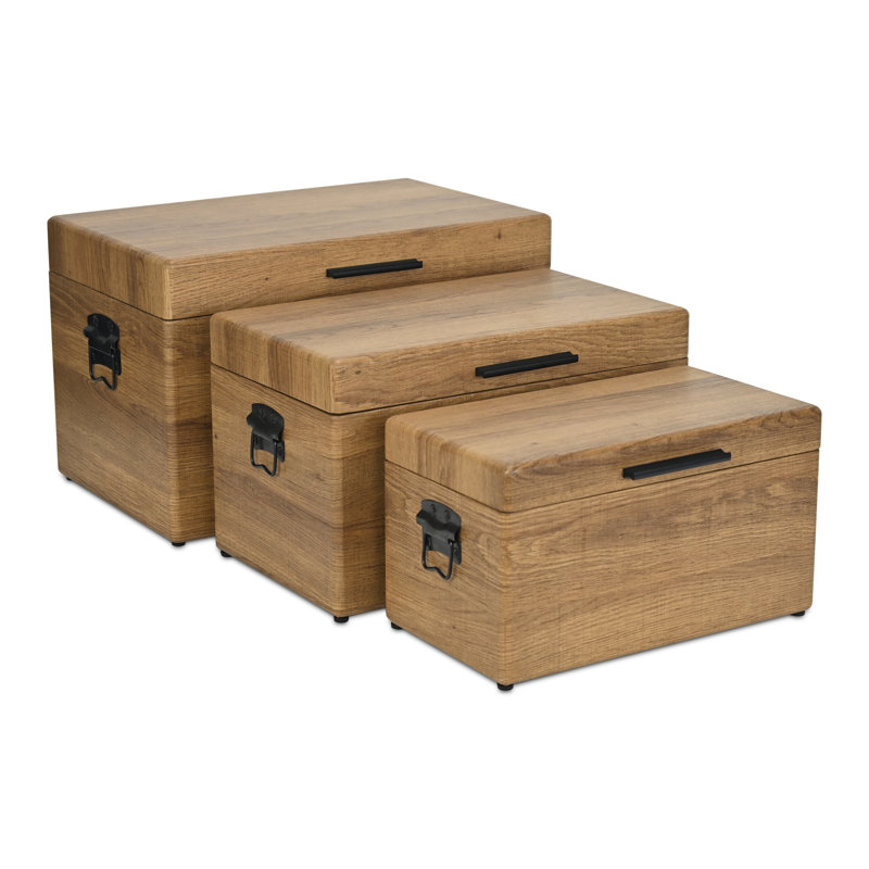 Sable Set of 3 Trunks with Gold Handles, Brown