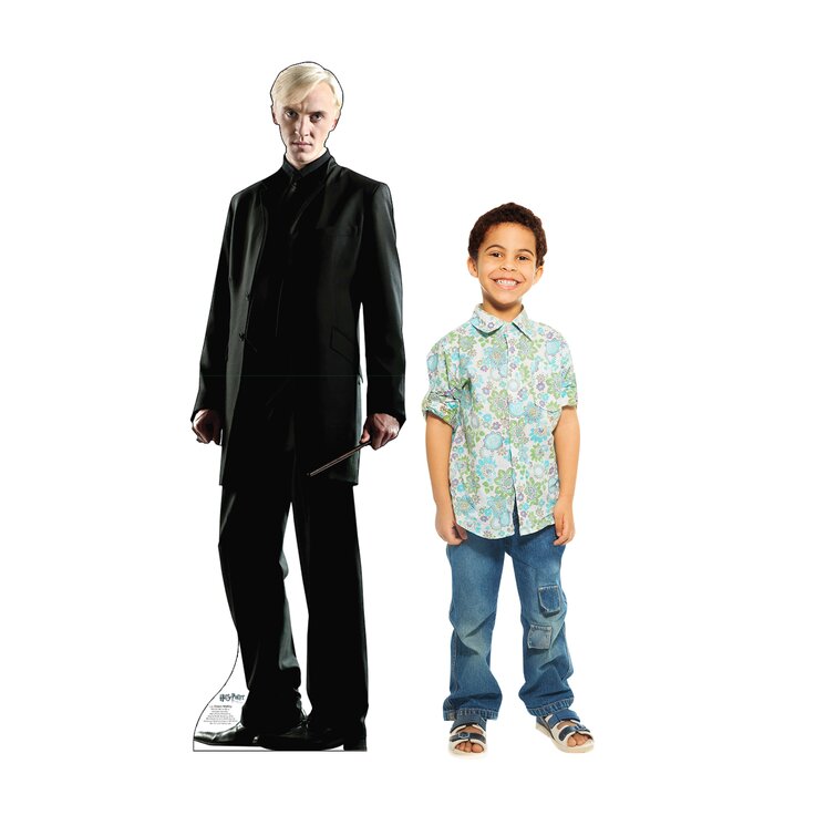  Cardboard People Draco Malfoy Life Size Cardboard Cutout  Standup - Harry Potter and The Deathly Hallows : Home & Kitchen