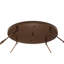 Gareth 8 - Light Semi Flush Mount