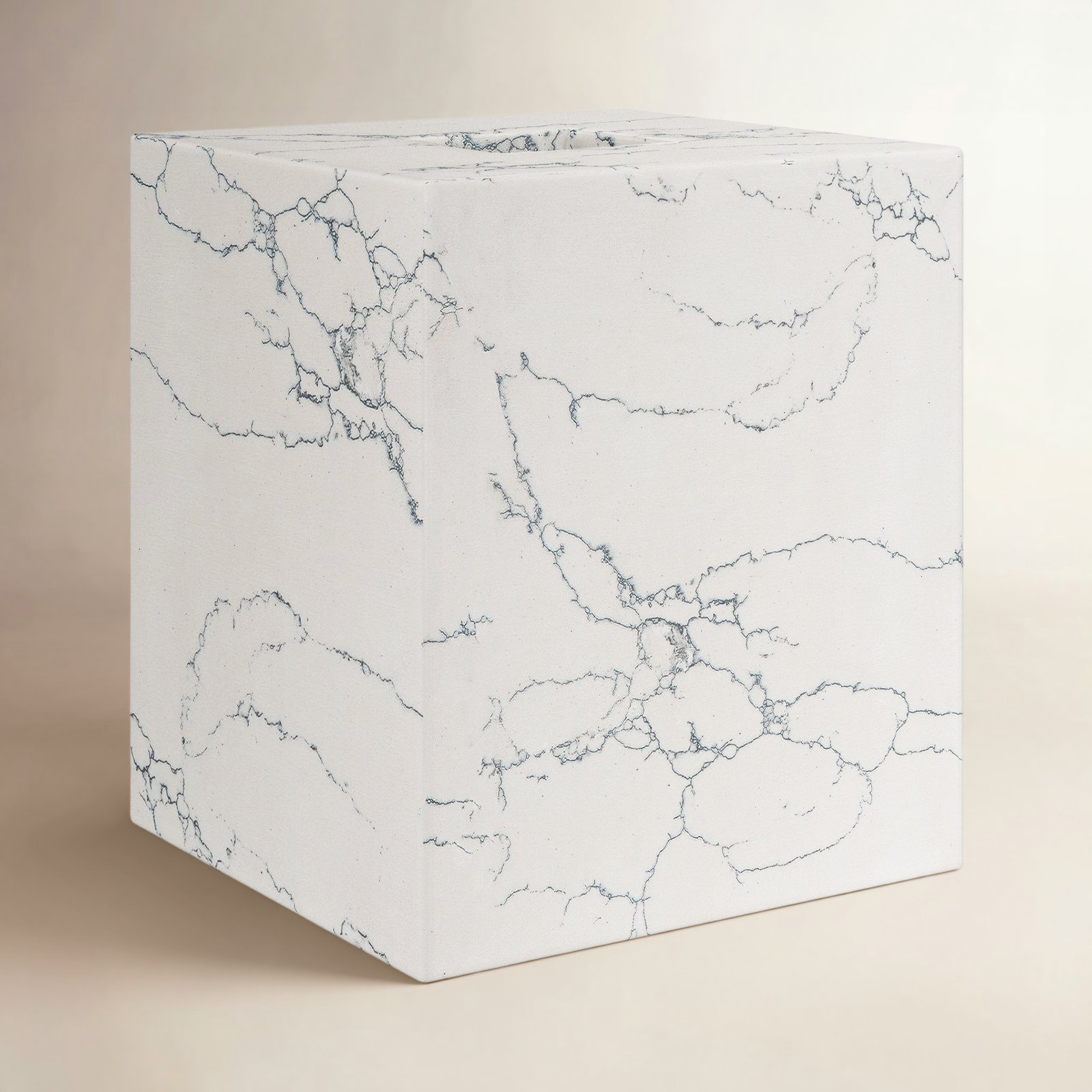 Paca Tissue Box Cover