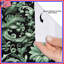 Rideaux de douche Floral-130093874