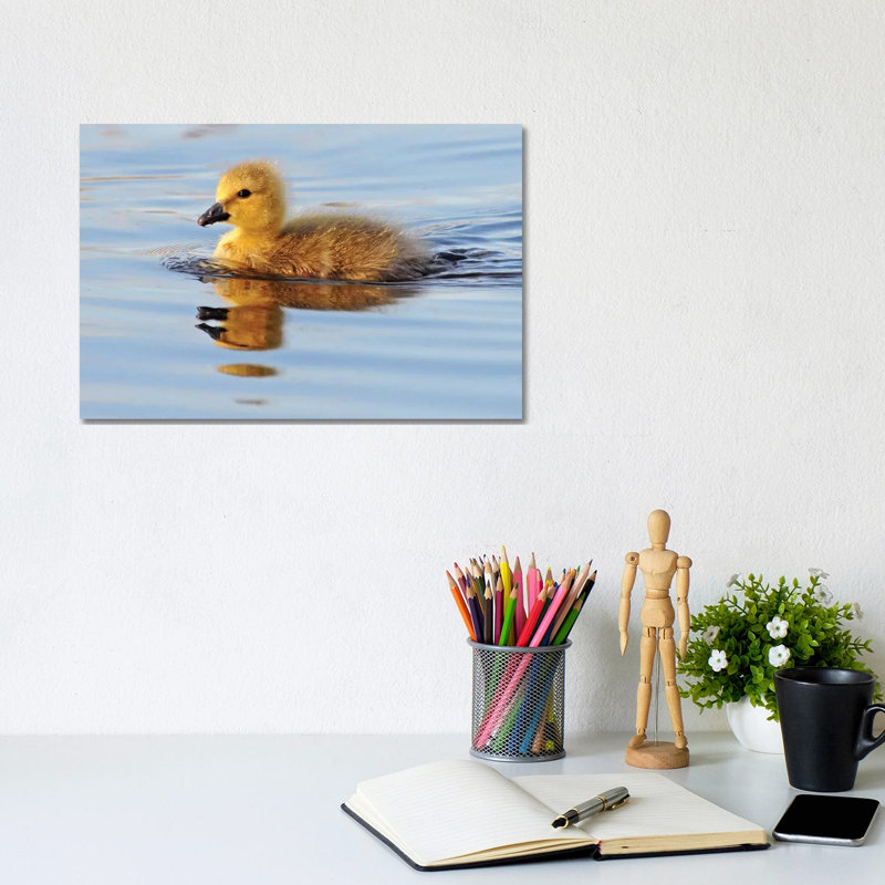 Gosling by Brian Wolf - Wrapped Canvas Print, 20.32cm H x 30.48cm W x 1.91cm D