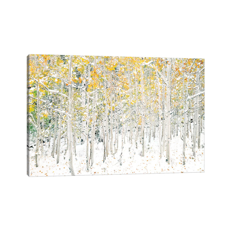 Quaking Aspens by Shelley Lake - Wrapped Canvas Gallery-Wrapped Canvas Giclée, 66.04 cm H x 45.72 cm W