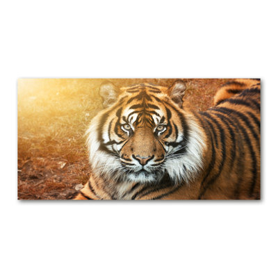 Bengal Tiger - No Frame Print on Canvas