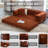 Kaveri Convertible Sofa Bed - Foldable Floor Couch with Teddy Foam - Modular Sectional for Living Room, Bedroom, Studio - Compression Sofa in Box-1770253188