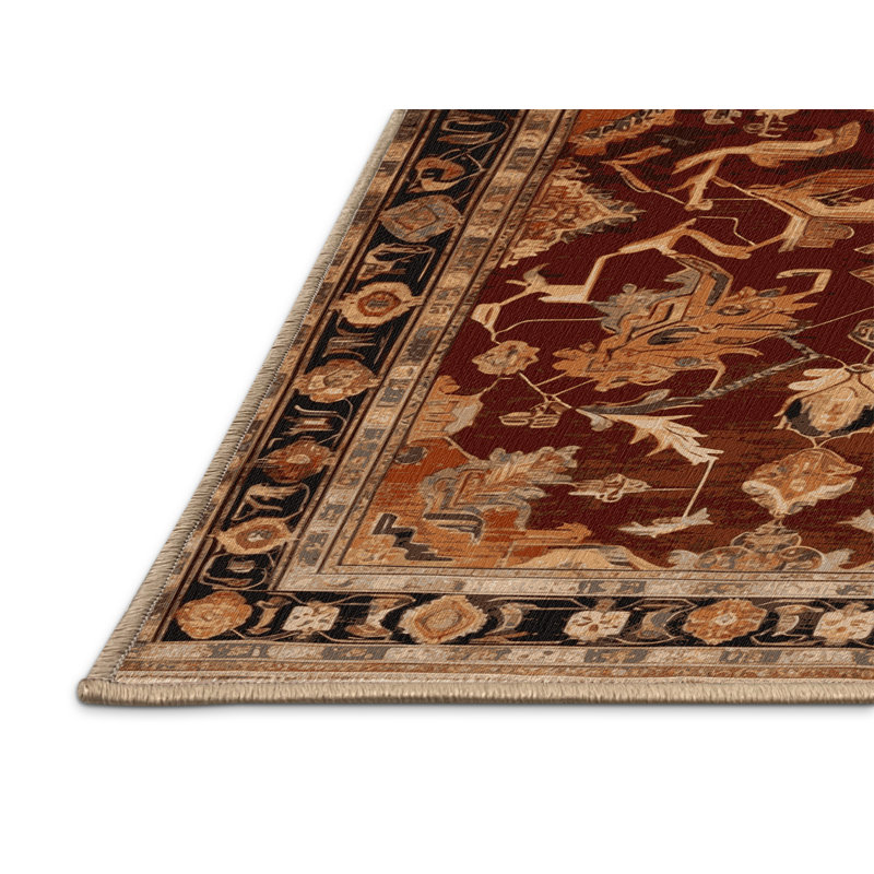 Machine Washable Turkish Brown Area Rug, Square 5'