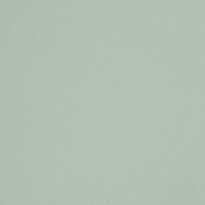 Camille Fabric