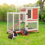 Poulailler en bois-97284217