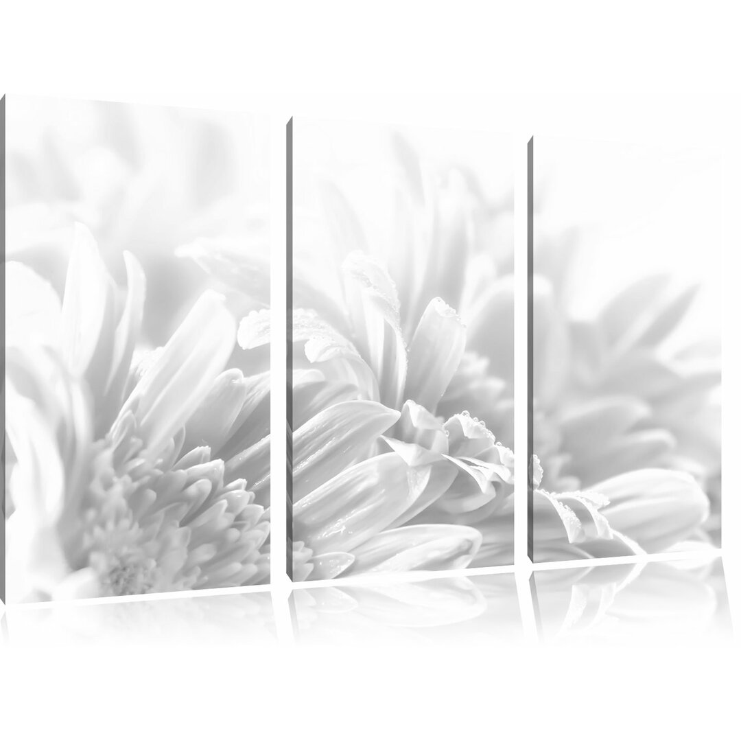 3-tlg. Leinwandbilder-Set „Gerbera-Blume in Pastelltönen“, Grafikdruck