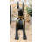 Deltrice Animals Figurines & Sculptures