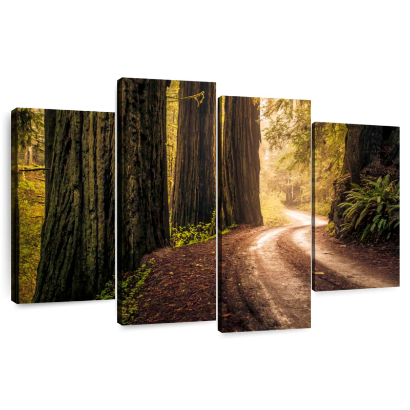 Redwoods de Harnek Howland Hill Road, H 22 po x l 36 po