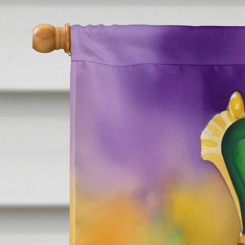 Double Sided 40'' H x 28'' W Polyester Mardi Gras House Flag