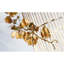Lustre cylindrique en cage avec oignon Jaterius 1-1442868371-1425075528