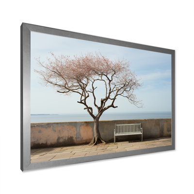 " Solitude Bench At The Beach "